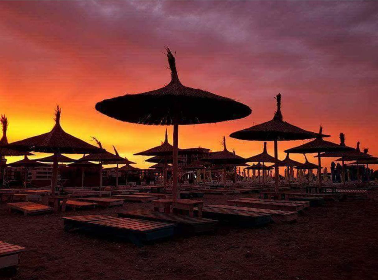 Yvo Lioness & Mamaia Nord Διαμέρισμα Năvodari Εξωτερικό φωτογραφία
